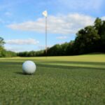 Top Golfer Insults Trump