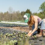 Trump Shuts Down US Farms?