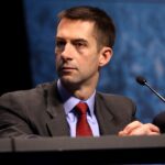 Trump Ally Exposes Real Culprits of TSA Chaos