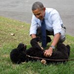 Obama Mourns Loss of Family Member